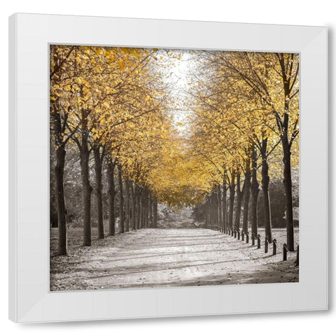 Road through trees White Modern Wood Framed Art Print by Frank, Assaf