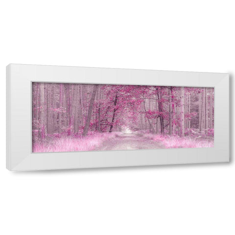 Pathway through Autumn forest, FTBR 1843 White Modern Wood Framed Art Print by Frank, Assaf