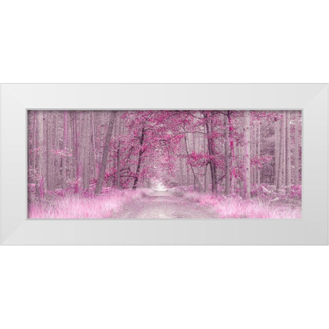Pathway through Autumn forest, FTBR 1843 White Modern Wood Framed Art Print by Frank, Assaf