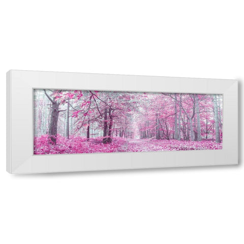 Pathway through Autumn forest White Modern Wood Framed Art Print by Frank, Assaf