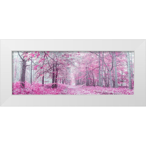 Pathway through Autumn forest White Modern Wood Framed Art Print by Frank, Assaf