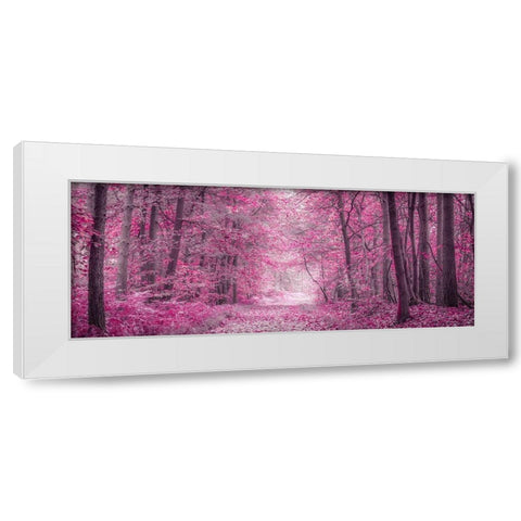 Pathway through Autumn forest White Modern Wood Framed Art Print by Frank, Assaf