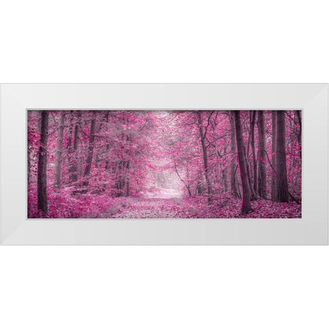 Pathway through Autumn forest White Modern Wood Framed Art Print by Frank, Assaf