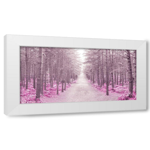 Pathway through Autumn forest, FTBR 1844 White Modern Wood Framed Art Print by Frank, Assaf