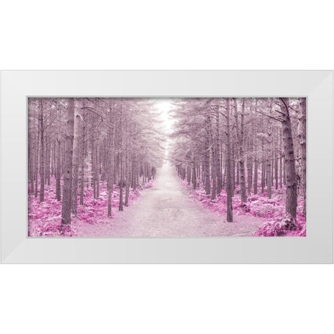 Pathway through Autumn forest, FTBR 1844 White Modern Wood Framed Art Print by Frank, Assaf