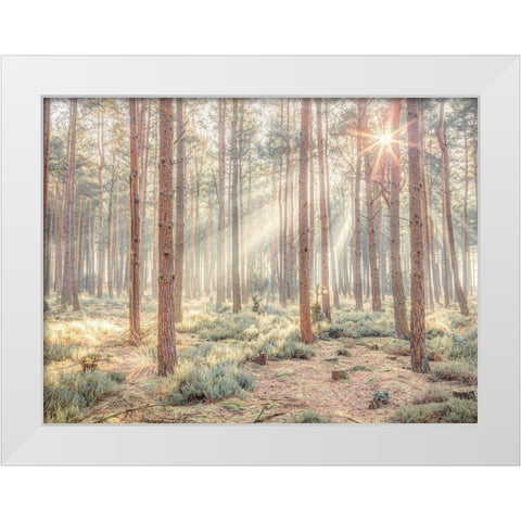 Misty forest with sunrays White Modern Wood Framed Art Print by Frank, Assaf