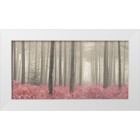 Misty forest with tall trees and foliage, FTBR 1845 White Modern Wood Framed Art Print by Frank, Assaf
