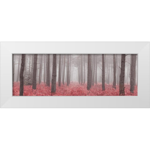 Misty forest with tall trees and foliage, FTBR 1846 White Modern Wood Framed Art Print by Frank, Assaf