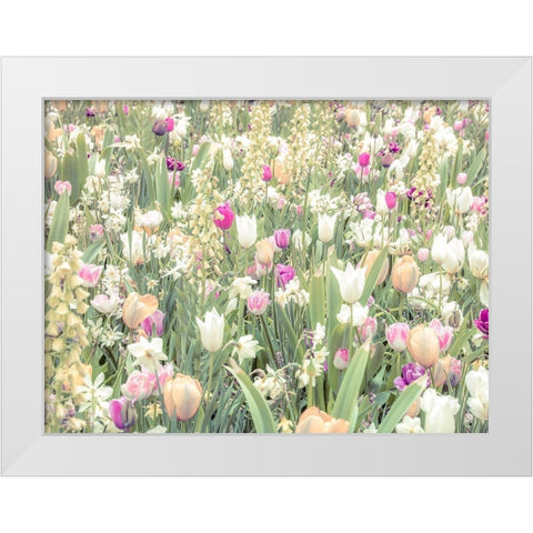 Colorful Tulip flowers White Modern Wood Framed Art Print by Frank, Assaf
