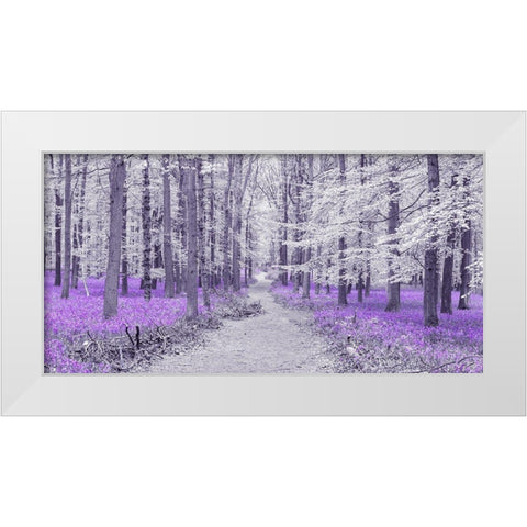Path through bluebell forest, FTBR 1848 White Modern Wood Framed Art Print by Frank, Assaf