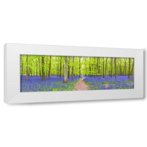 Bluebells White Modern Wood Framed Art Print by Frank, Assaf