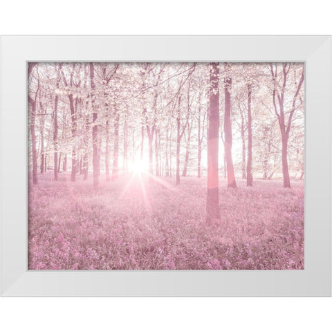 Bluebells in pink White Modern Wood Framed Art Print by Frank, Assaf