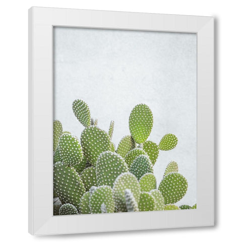 Cactus plant White Modern Wood Framed Art Print by Frank, Assaf