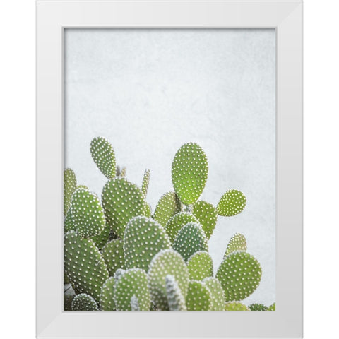 Cactus plant White Modern Wood Framed Art Print by Frank, Assaf