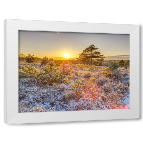 Winter sunset in countryside White Modern Wood Framed Art Print by Frank, Assaf