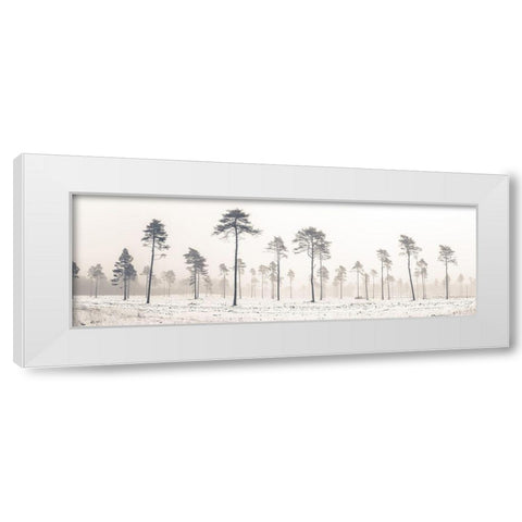 Snowy forest in winter White Modern Wood Framed Art Print by Frank, Assaf