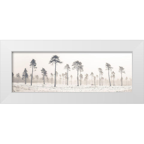 Snowy forest in winter White Modern Wood Framed Art Print by Frank, Assaf