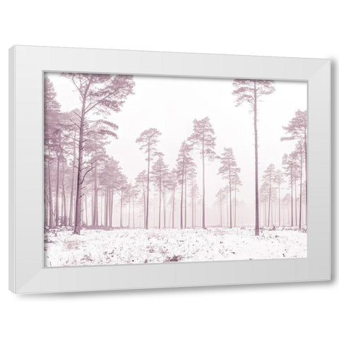 Snowy forest in winter White Modern Wood Framed Art Print by Frank, Assaf