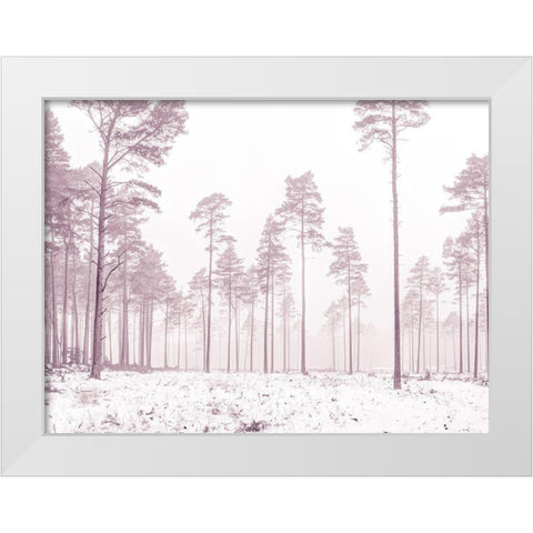 Snowy forest in winter White Modern Wood Framed Art Print by Frank, Assaf