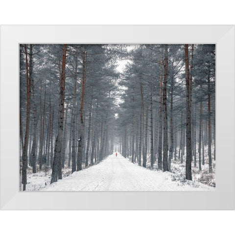 Pathway through snowy forest, FTBR-1912 White Modern Wood Framed Art Print by Frank, Assaf