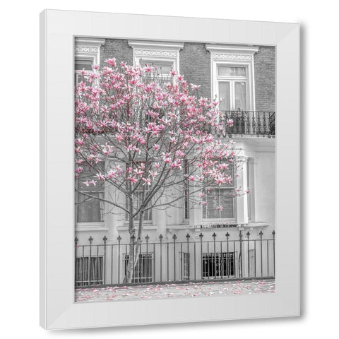 Magnolia tree outside house in London White Modern Wood Framed Art Print by Frank, Assaf