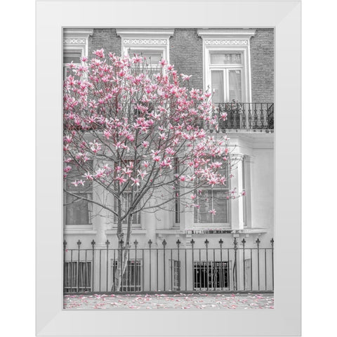 Magnolia tree outside house in London White Modern Wood Framed Art Print by Frank, Assaf
