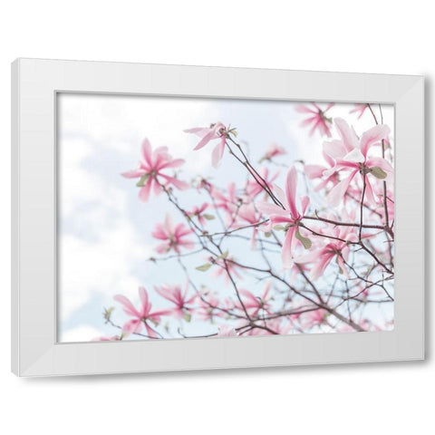 Magnolias against sky White Modern Wood Framed Art Print by Frank, Assaf