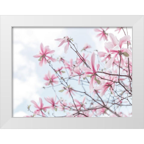 Magnolias against sky White Modern Wood Framed Art Print by Frank, Assaf
