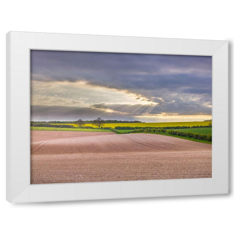 Farm fields in Hampshire during spring White Modern Wood Framed Art Print by Frank, Assaf
