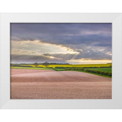 Farm fields in Hampshire during spring White Modern Wood Framed Art Print by Frank, Assaf