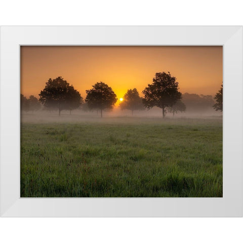 Misty sunrise in countryside-Berkshire-UK White Modern Wood Framed Art Print by Frank, Assaf