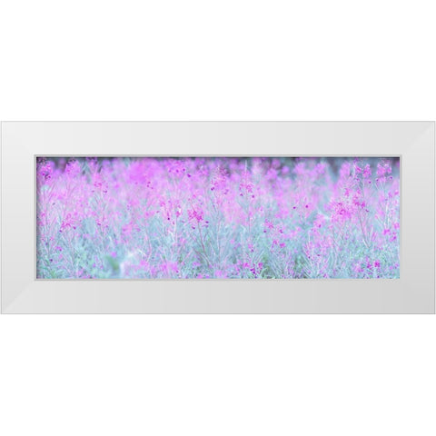 Chamaenerion flowers White Modern Wood Framed Art Print by Frank, Assaf