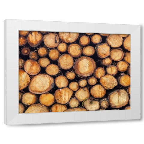 Wood logs White Modern Wood Framed Art Print by Frank, Assaf