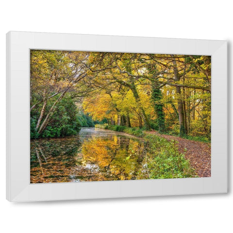 Canal through a forest White Modern Wood Framed Art Print by Frank, Assaf