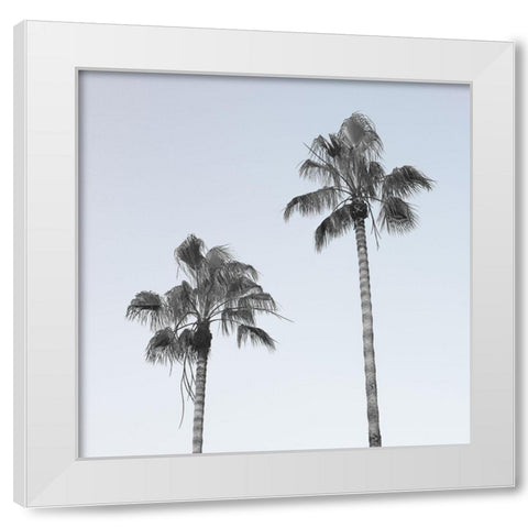 Palm trees White Modern Wood Framed Art Print by Frank, Assaf