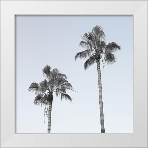 Palm trees White Modern Wood Framed Art Print by Frank, Assaf