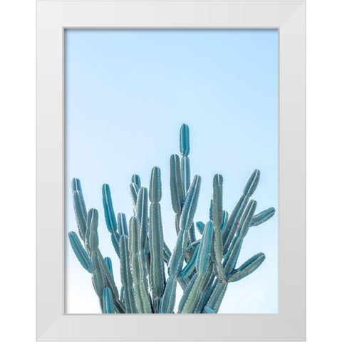 Cactus White Modern Wood Framed Art Print by Frank, Assaf