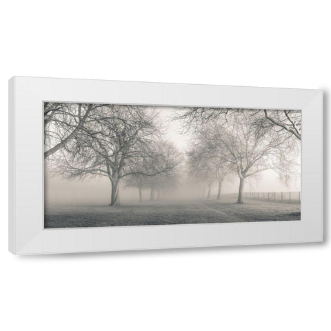 Pathway through trees White Modern Wood Framed Art Print by Frank, Assaf