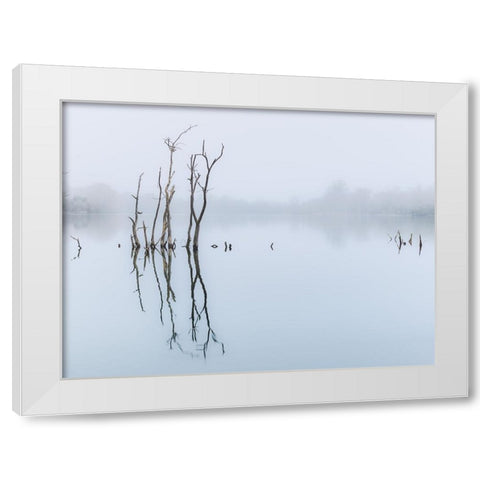 Branches in lake, reflection White Modern Wood Framed Art Print by Frank, Assaf