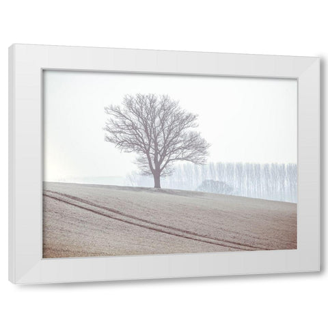 Trees on a hill White Modern Wood Framed Art Print by Frank, Assaf