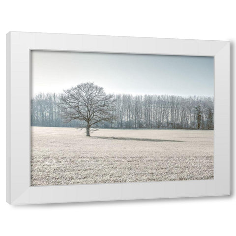 Trees on grass field White Modern Wood Framed Art Print by Frank, Assaf