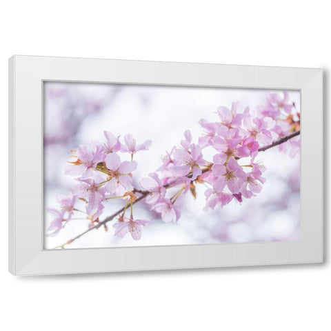 Blossoms White Modern Wood Framed Art Print by Frank, Assaf