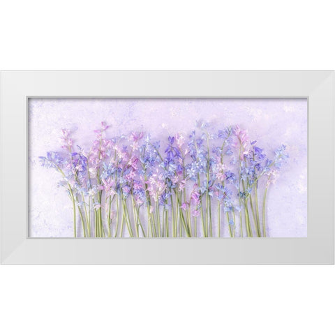 Bluebell flowers White Modern Wood Framed Art Print by Frank, Assaf