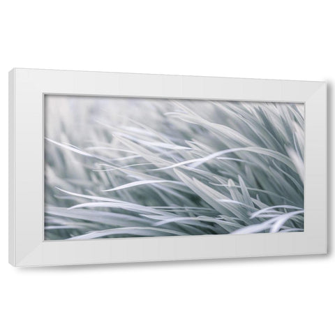 Leaves-abstract White Modern Wood Framed Art Print by Frank, Assaf