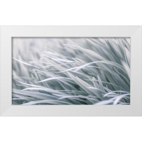 Leaves-abstract White Modern Wood Framed Art Print by Frank, Assaf