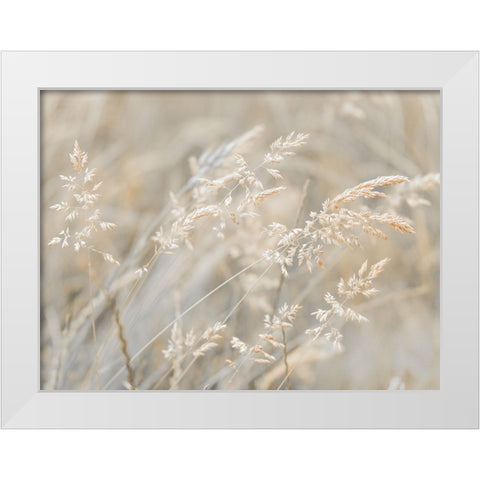 Grass Meadow White Modern Wood Framed Art Print by Frank, Assaf