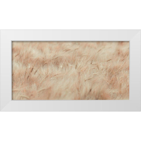 Wheat field White Modern Wood Framed Art Print by Frank, Assaf