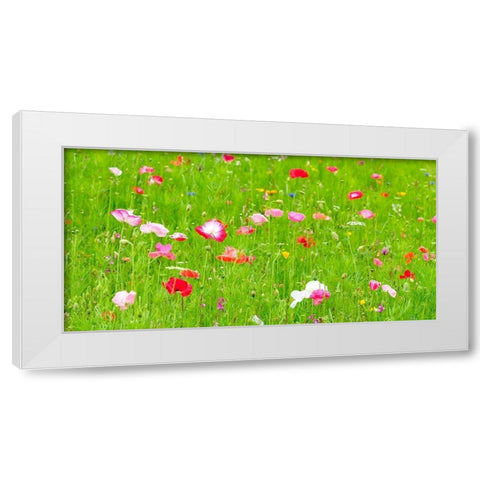 Meadow flowers White Modern Wood Framed Art Print by Frank, Assaf