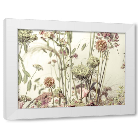 Meadow Flowers White Modern Wood Framed Art Print by Frank, Assaf