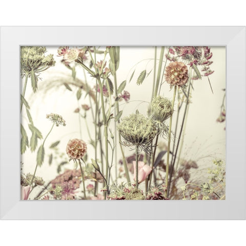 Meadow Flowers White Modern Wood Framed Art Print by Frank, Assaf